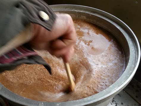 木 食物|「木」は食べることができるのか？